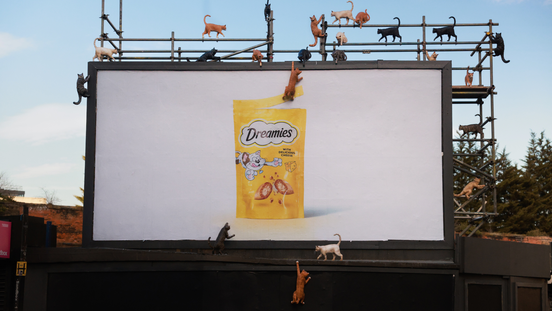 Dreamies Billboard Campaign